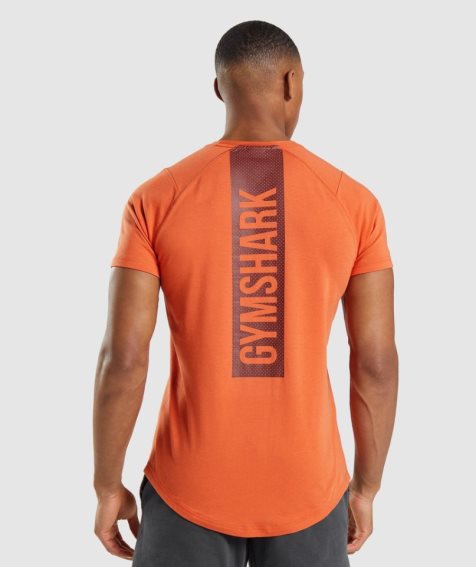 Men's Gymshark Bold T-Shirts Orange | NZ 4EXKDP